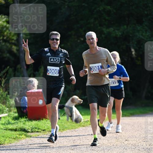 27.09.2026 - 35. Volkslauf durch das schöne Alstertal Dr. Thomas Lammeyer http://msf.ph/oto/10571927 27.09.2026 11:21:25 Laufen 3000, 3001, 315 meine-sportfotos.de