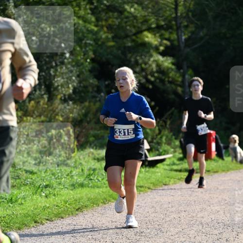 27.09.2026 - 35. Volkslauf durch das schöne Alstertal Dr. Thomas Lammeyer http://msf.ph/oto/10571966 27.09.2026 11:21:30 Laufen 3315 meine-sportfotos.de