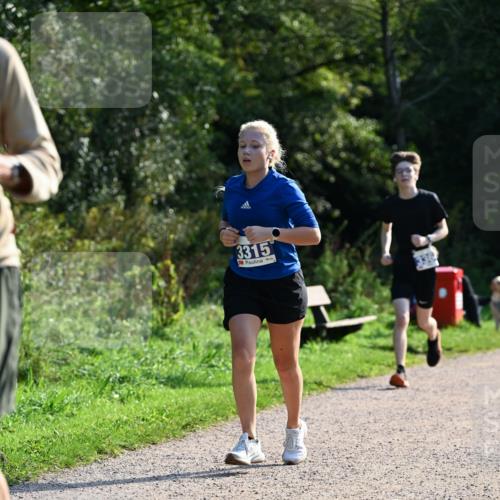 27.09.2026 - 35. Volkslauf durch das schöne Alstertal Dr. Thomas Lammeyer http://msf.ph/oto/10571968 27.09.2026 11:21:30 Laufen 3315 meine-sportfotos.de