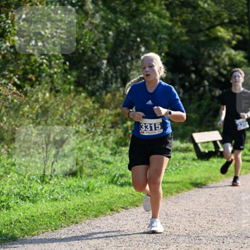 27.09.2026 - 35. Volkslauf durch das schöne Alstertal Dr. Thomas Lammeyer http://msf.ph/oto/10571973 27.09.2026 11:21:31 Laufen 3315 meine-sportfotos.de