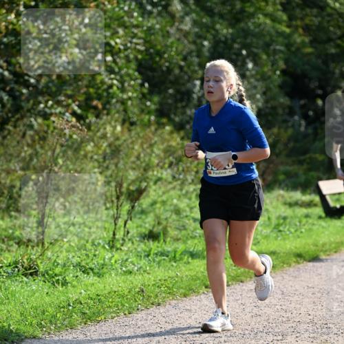 27.09.2026 - 35. Volkslauf durch das schöne Alstertal Dr. Thomas Lammeyer http://msf.ph/oto/10571975 27.09.2026 11:21:31 Laufen  meine-sportfotos.de