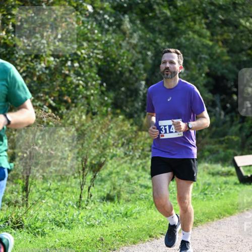 27.09.2026 - 35. Volkslauf durch das schöne Alstertal Dr. Thomas Lammeyer http://msf.ph/oto/10572023 27.09.2026 11:21:41 Laufen 314 meine-sportfotos.de