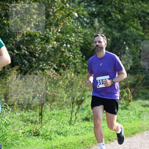 27.09.2026 - 35. Volkslauf durch das schöne Alstertal Dr. Thomas Lammeyer http://msf.ph/oto/10572026 27.09.2026 11:21:41 Laufen 31 meine-sportfotos.de