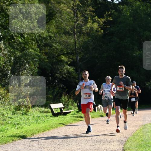 27.09.2026 - 35. Volkslauf durch das schöne Alstertal Dr. Thomas Lammeyer http://msf.ph/oto/10572167 27.09.2026 11:22:16 Laufen 1410, 3977, 1409 meine-sportfotos.de