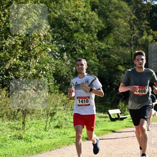27.09.2026 - 35. Volkslauf durch das schöne Alstertal Dr. Thomas Lammeyer http://msf.ph/oto/10572183 27.09.2026 11:22:18 Laufen 1410, 409 meine-sportfotos.de