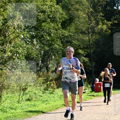 27.09.2026 - 35. Volkslauf durch das schöne Alstertal Dr. Thomas Lammeyer http://msf.ph/oto/10572194 27.09.2026 11:22:19 Laufen 3977, 3994 meine-sportfotos.de