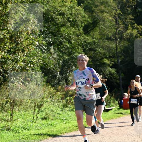27.09.2026 - 35. Volkslauf durch das schöne Alstertal Dr. Thomas Lammeyer http://msf.ph/oto/10572196 27.09.2026 11:22:20 Laufen 3977, 96, 3994 meine-sportfotos.de