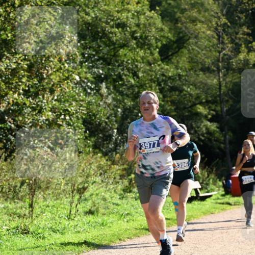 27.09.2026 - 35. Volkslauf durch das schöne Alstertal Dr. Thomas Lammeyer http://msf.ph/oto/10572197 27.09.2026 11:22:20 Laufen 3977, 3396, 3994 meine-sportfotos.de