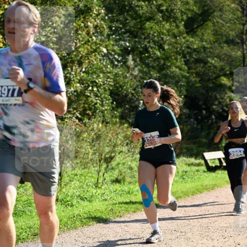 27.09.2026 - 35. Volkslauf durch das schöne Alstertal Dr. Thomas Lammeyer http://msf.ph/oto/10572205 27.09.2026 11:22:21 Laufen 3977, 3994 meine-sportfotos.de