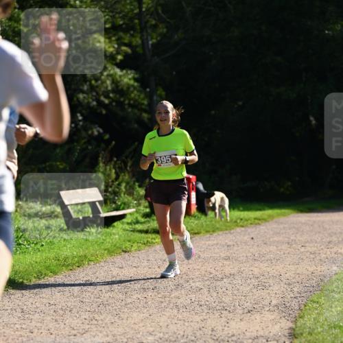 27.09.2026 - 35. Volkslauf durch das schöne Alstertal Dr. Thomas Lammeyer http://msf.ph/oto/10572256 27.09.2026 11:22:29 Laufen 395 meine-sportfotos.de