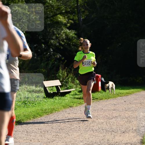 27.09.2026 - 35. Volkslauf durch das schöne Alstertal Dr. Thomas Lammeyer http://msf.ph/oto/10572258 27.09.2026 11:22:30 Laufen 3958 meine-sportfotos.de