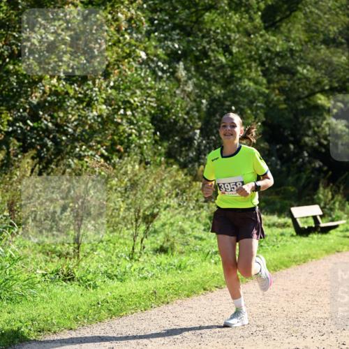 27.09.2026 - 35. Volkslauf durch das schöne Alstertal Dr. Thomas Lammeyer http://msf.ph/oto/10572264 27.09.2026 11:22:31 Laufen 3958 meine-sportfotos.de
