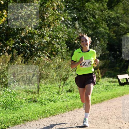 27.09.2026 - 35. Volkslauf durch das schöne Alstertal Dr. Thomas Lammeyer http://msf.ph/oto/10572268 27.09.2026 11:22:32 Laufen 3958 meine-sportfotos.de