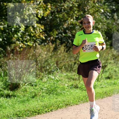 27.09.2026 - 35. Volkslauf durch das schöne Alstertal Dr. Thomas Lammeyer http://msf.ph/oto/10572273 27.09.2026 11:22:32 Laufen 3958 meine-sportfotos.de