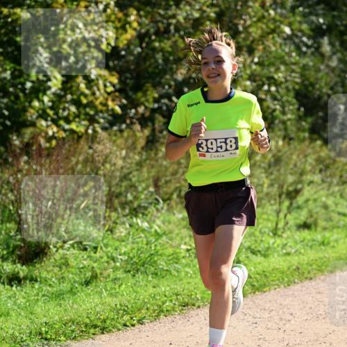 27.09.2026 - 35. Volkslauf durch das schöne Alstertal Dr. Thomas Lammeyer http://msf.ph/oto/10572274 27.09.2026 11:22:32 Laufen 3958 meine-sportfotos.de
