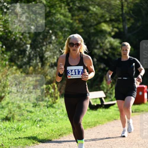27.09.2026 - 35. Volkslauf durch das schöne Alstertal Dr. Thomas Lammeyer http://msf.ph/oto/10572296 27.09.2026 11:22:47 Laufen 3417 meine-sportfotos.de