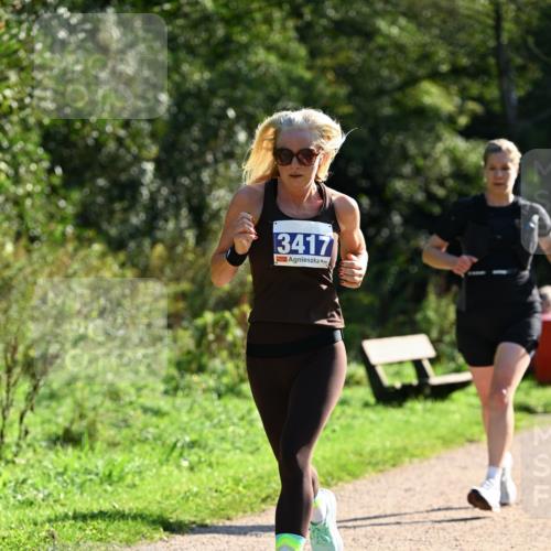 27.09.2026 - 35. Volkslauf durch das schöne Alstertal Dr. Thomas Lammeyer http://msf.ph/oto/10572297 27.09.2026 11:22:47 Laufen 3417 meine-sportfotos.de