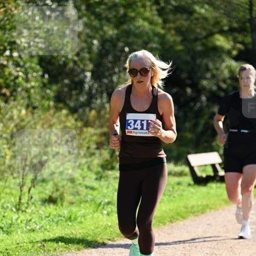 27.09.2026 - 35. Volkslauf durch das schöne Alstertal Dr. Thomas Lammeyer http://msf.ph/oto/10572299 27.09.2026 11:22:47 Laufen 341 meine-sportfotos.de