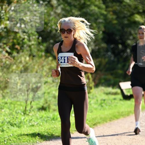 27.09.2026 - 35. Volkslauf durch das schöne Alstertal Dr. Thomas Lammeyer http://msf.ph/oto/10572301 27.09.2026 11:22:47 Laufen 341 meine-sportfotos.de
