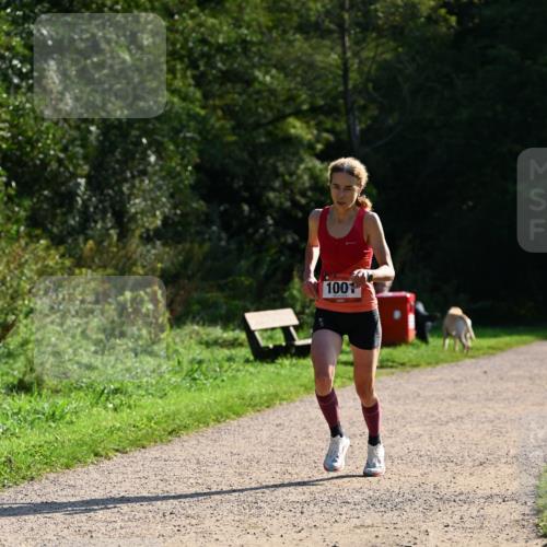 27.09.2026 - 35. Volkslauf durch das schöne Alstertal Dr. Thomas Lammeyer http://msf.ph/oto/10572309 27.09.2026 11:22:54 Laufen 100 meine-sportfotos.de