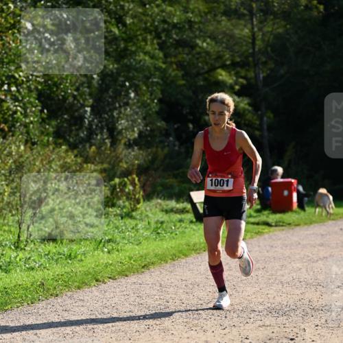 27.09.2026 - 35. Volkslauf durch das schöne Alstertal Dr. Thomas Lammeyer http://msf.ph/oto/10572311 27.09.2026 11:22:54 Laufen 1001 meine-sportfotos.de