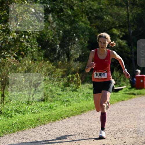 27.09.2026 - 35. Volkslauf durch das schöne Alstertal Dr. Thomas Lammeyer http://msf.ph/oto/10572314 27.09.2026 11:22:54 Laufen 1001 meine-sportfotos.de