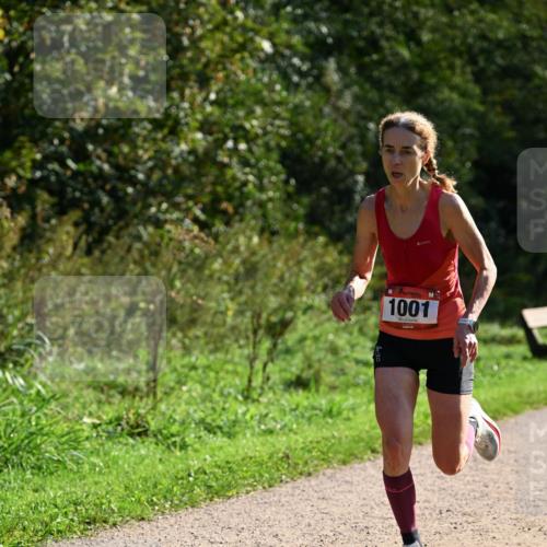 27.09.2026 - 35. Volkslauf durch das schöne Alstertal Dr. Thomas Lammeyer http://msf.ph/oto/10572318 27.09.2026 11:22:55 Laufen 1001 meine-sportfotos.de