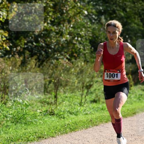 27.09.2026 - 35. Volkslauf durch das schöne Alstertal Dr. Thomas Lammeyer http://msf.ph/oto/10572319 27.09.2026 11:22:55 Laufen 1001 meine-sportfotos.de