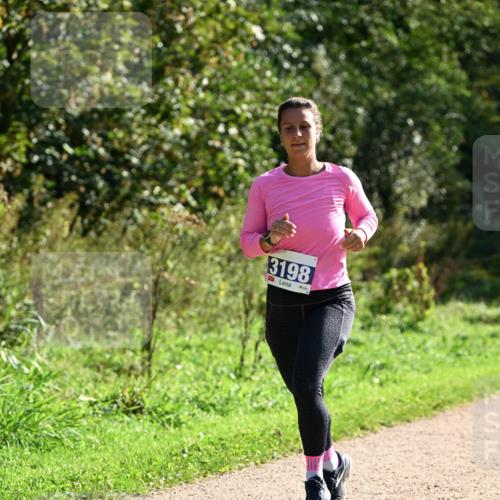 27.09.2026 - 35. Volkslauf durch das schöne Alstertal Dr. Thomas Lammeyer http://msf.ph/oto/10572335 27.09.2026 11:23:18 Laufen 3198 meine-sportfotos.de