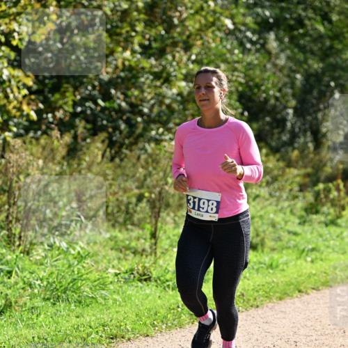 27.09.2026 - 35. Volkslauf durch das schöne Alstertal Dr. Thomas Lammeyer http://msf.ph/oto/10572338 27.09.2026 11:23:19 Laufen 3198 meine-sportfotos.de