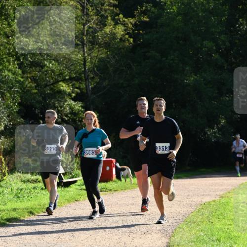 27.09.2026 - 35. Volkslauf durch das schöne Alstertal Dr. Thomas Lammeyer http://msf.ph/oto/10572349 27.09.2026 11:23:23 Laufen 3293, 3983, 3313 meine-sportfotos.de