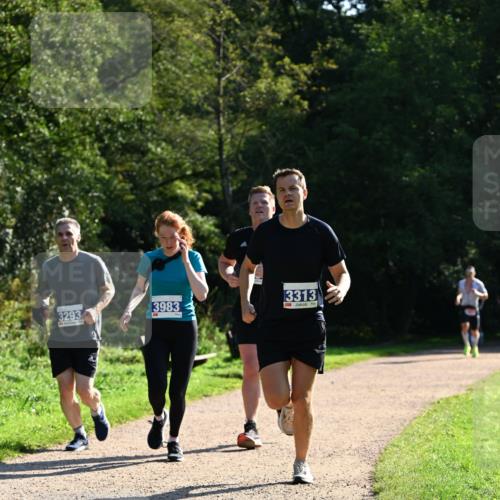 27.09.2026 - 35. Volkslauf durch das schöne Alstertal Dr. Thomas Lammeyer http://msf.ph/oto/10572357 27.09.2026 11:23:25 Laufen 3293, 3983, 3313 meine-sportfotos.de