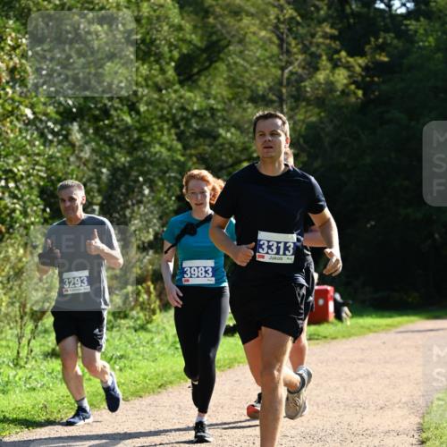 27.09.2026 - 35. Volkslauf durch das schöne Alstertal Dr. Thomas Lammeyer http://msf.ph/oto/10572364 27.09.2026 11:23:25 Laufen 3293, 3983, 3313 meine-sportfotos.de