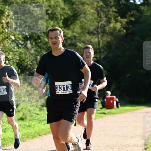 27.09.2026 - 35. Volkslauf durch das schöne Alstertal Dr. Thomas Lammeyer http://msf.ph/oto/10572369 27.09.2026 11:23:26 Laufen 293, 3313 meine-sportfotos.de