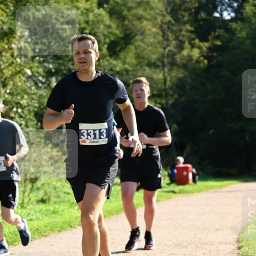 27.09.2026 - 35. Volkslauf durch das schöne Alstertal Dr. Thomas Lammeyer http://msf.ph/oto/10572370 27.09.2026 11:23:26 Laufen 3313 meine-sportfotos.de