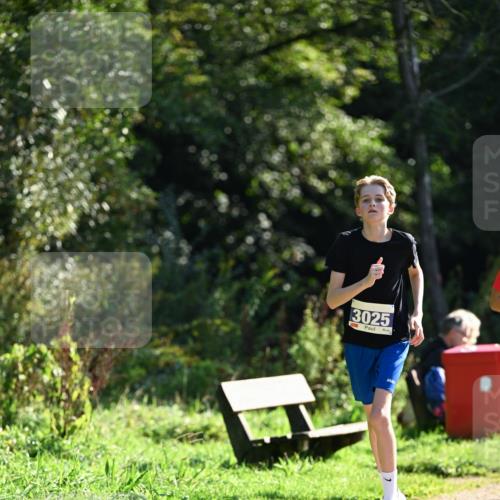 27.09.2026 - 35. Volkslauf durch das schöne Alstertal Dr. Thomas Lammeyer http://msf.ph/oto/10572413 27.09.2026 11:23:34 Laufen 3025 meine-sportfotos.de