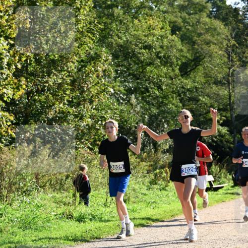 27.09.2026 - 35. Volkslauf durch das schöne Alstertal Dr. Thomas Lammeyer http://msf.ph/oto/10572430 27.09.2026 11:23:37 Laufen 3025, 3026, 340 meine-sportfotos.de