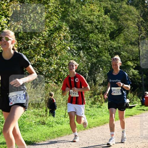 27.09.2026 - 35. Volkslauf durch das schöne Alstertal Dr. Thomas Lammeyer http://msf.ph/oto/10572442 27.09.2026 11:23:38 Laufen 3026, 3229, 3405 meine-sportfotos.de
