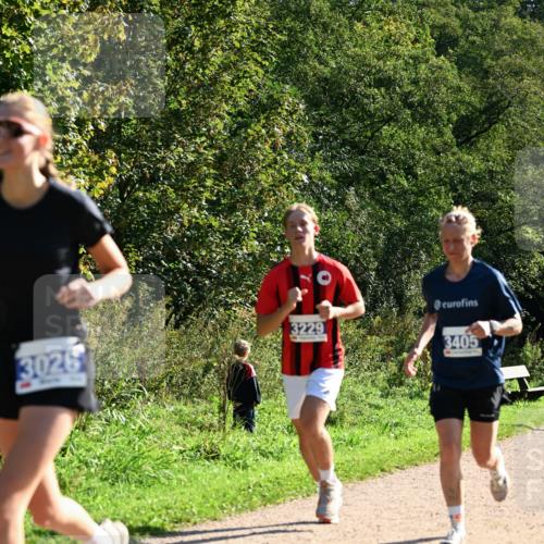 27.09.2026 - 35. Volkslauf durch das schöne Alstertal Dr. Thomas Lammeyer http://msf.ph/oto/10572443 27.09.2026 11:23:38 Laufen 3026, 3229, 3405 meine-sportfotos.de