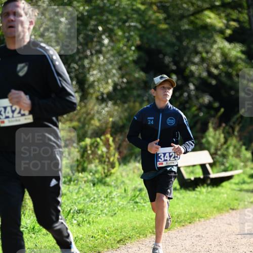 27.09.2026 - 35. Volkslauf durch das schöne Alstertal Dr. Thomas Lammeyer http://msf.ph/oto/10572483 27.09.2026 11:23:48 Laufen 3424, 24, 3425 meine-sportfotos.de