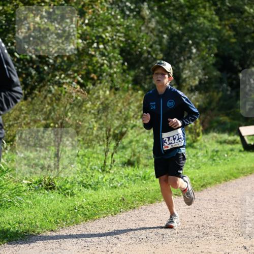 27.09.2026 - 35. Volkslauf durch das schöne Alstertal Dr. Thomas Lammeyer http://msf.ph/oto/10572495 27.09.2026 11:23:49 Laufen 24, 34, 25 meine-sportfotos.de