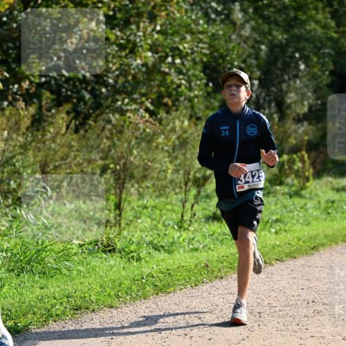 27.09.2026 - 35. Volkslauf durch das schöne Alstertal Dr. Thomas Lammeyer http://msf.ph/oto/10572498 27.09.2026 11:23:50 Laufen 24, 3425 meine-sportfotos.de