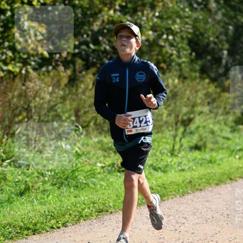 27.09.2026 - 35. Volkslauf durch das schöne Alstertal Dr. Thomas Lammeyer http://msf.ph/oto/10572504 27.09.2026 11:23:50 Laufen 24, 425 meine-sportfotos.de