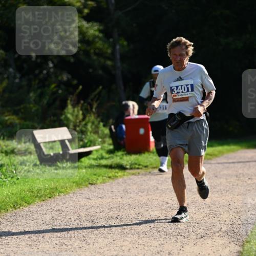 27.09.2026 - 35. Volkslauf durch das schöne Alstertal Dr. Thomas Lammeyer http://msf.ph/oto/10572511 27.09.2026 11:23:56 Laufen 3401, 4 meine-sportfotos.de