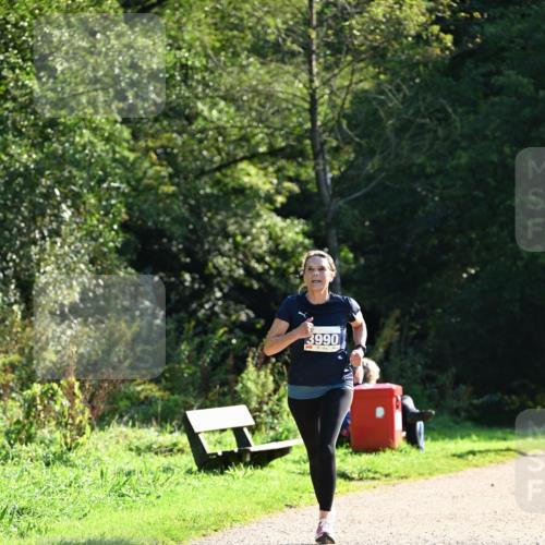 27.09.2026 - 35. Volkslauf durch das schöne Alstertal Dr. Thomas Lammeyer http://msf.ph/oto/10572613 27.09.2026 11:24:16 Laufen 3990 meine-sportfotos.de