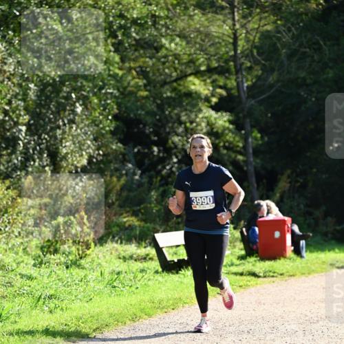27.09.2026 - 35. Volkslauf durch das schöne Alstertal Dr. Thomas Lammeyer http://msf.ph/oto/10572618 27.09.2026 11:24:16 Laufen 3990 meine-sportfotos.de