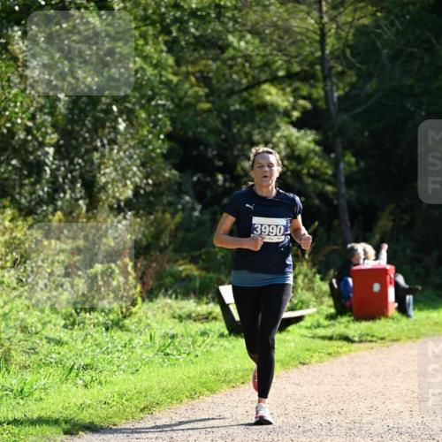 27.09.2026 - 35. Volkslauf durch das schöne Alstertal Dr. Thomas Lammeyer http://msf.ph/oto/10572621 27.09.2026 11:24:17 Laufen 3990 meine-sportfotos.de