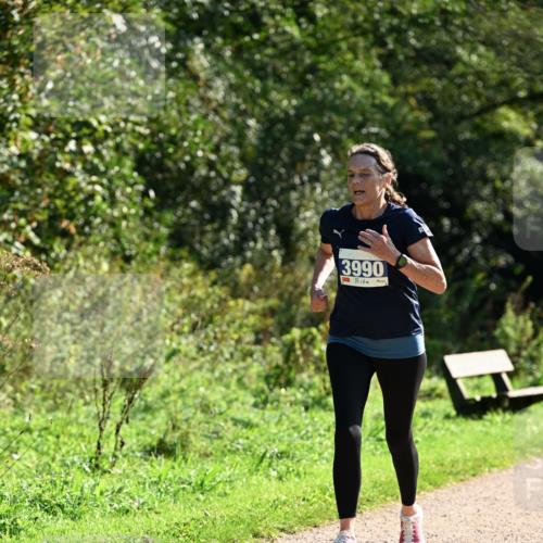 27.09.2026 - 35. Volkslauf durch das schöne Alstertal Dr. Thomas Lammeyer http://msf.ph/oto/10572630 27.09.2026 11:24:17 Laufen 3990 meine-sportfotos.de
