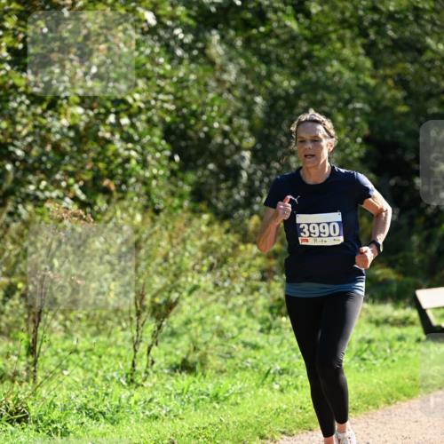 27.09.2026 - 35. Volkslauf durch das schöne Alstertal Dr. Thomas Lammeyer http://msf.ph/oto/10572633 27.09.2026 11:24:18 Laufen 3990 meine-sportfotos.de