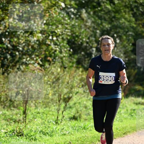 27.09.2026 - 35. Volkslauf durch das schöne Alstertal Dr. Thomas Lammeyer http://msf.ph/oto/10572635 27.09.2026 11:24:18 Laufen 3990 meine-sportfotos.de